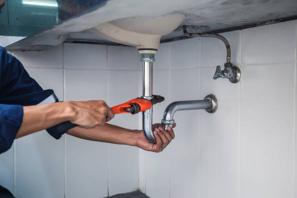 Best Local Plumber Services  in Williston Highlands, FL