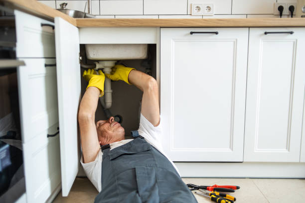 Best Affordable Plumber Near Me  in Williston Highlands, FL
